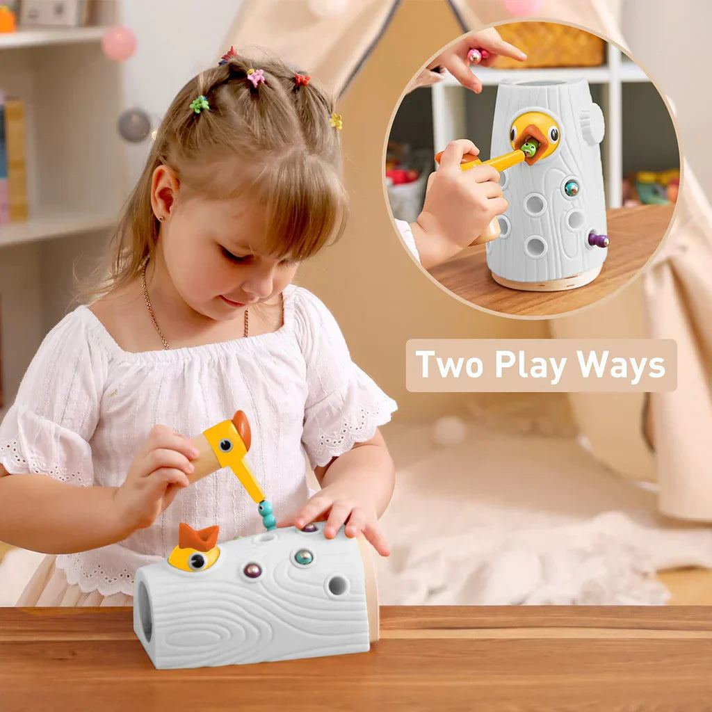 Woodpecker Feeding and Learning Toys, Magnetic Worm Game
