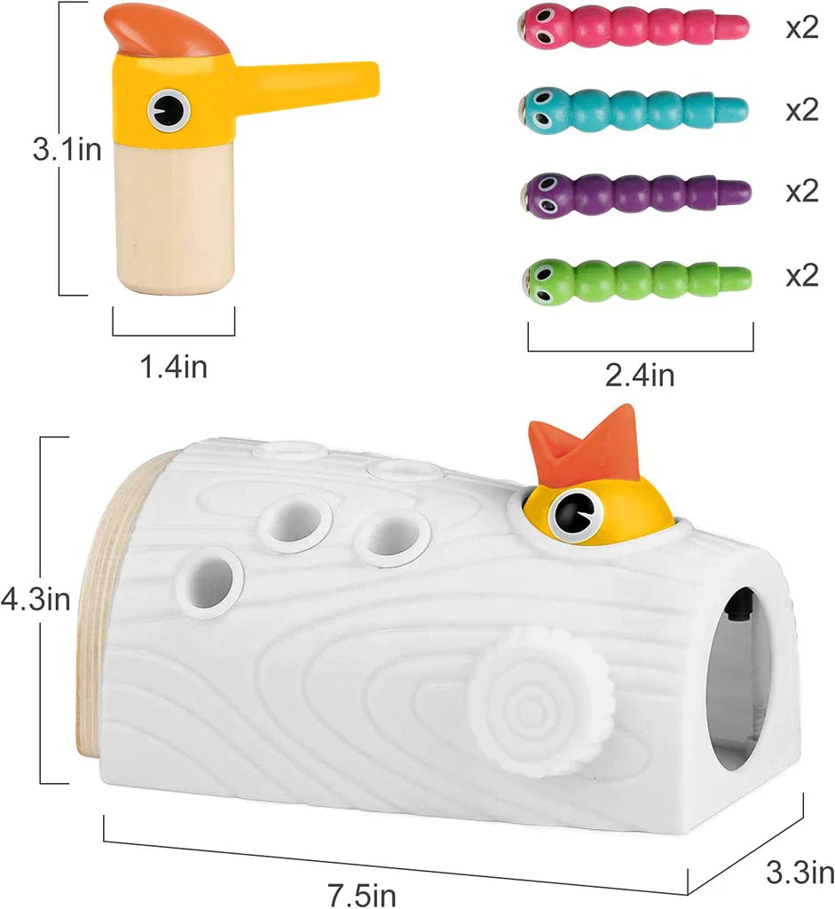 Woodpecker Feeding and Learning Toys, Magnetic Worm Game