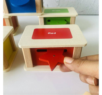 Colourful Coin Sorting Magnet Box