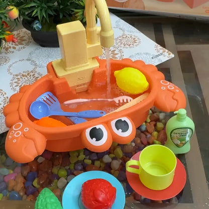 Crab Kitchen Sink