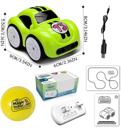 Magic induction mini RC car with follow me sensor